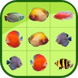 宝威体育官网app